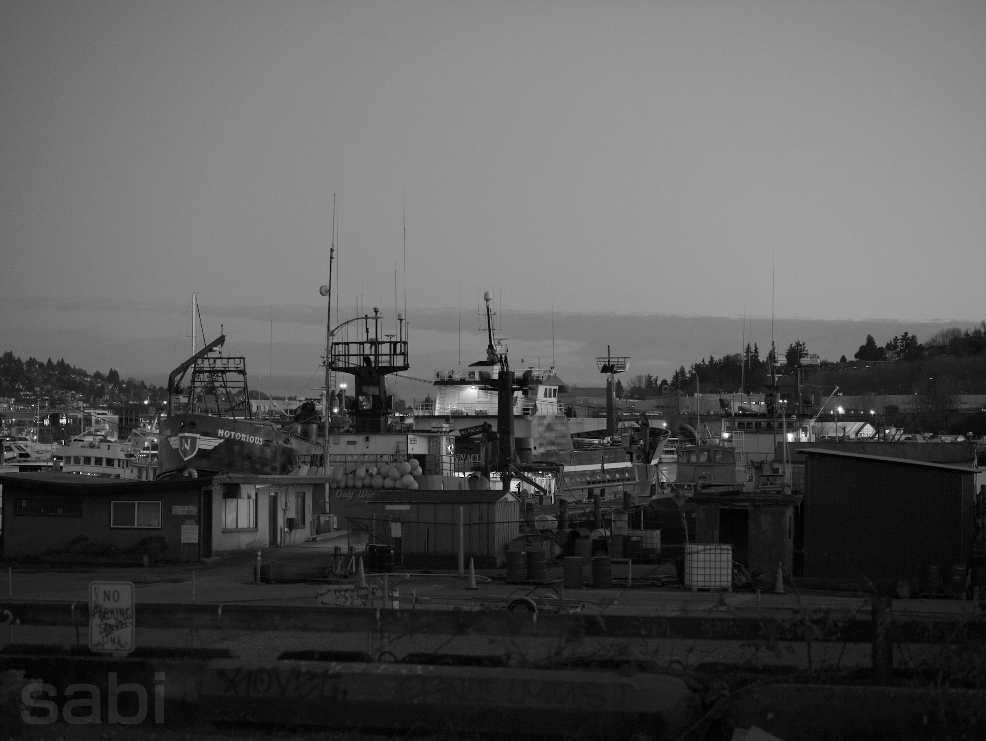 a monochrome photo looking out at the docks in the ballard neighborhood in seattle