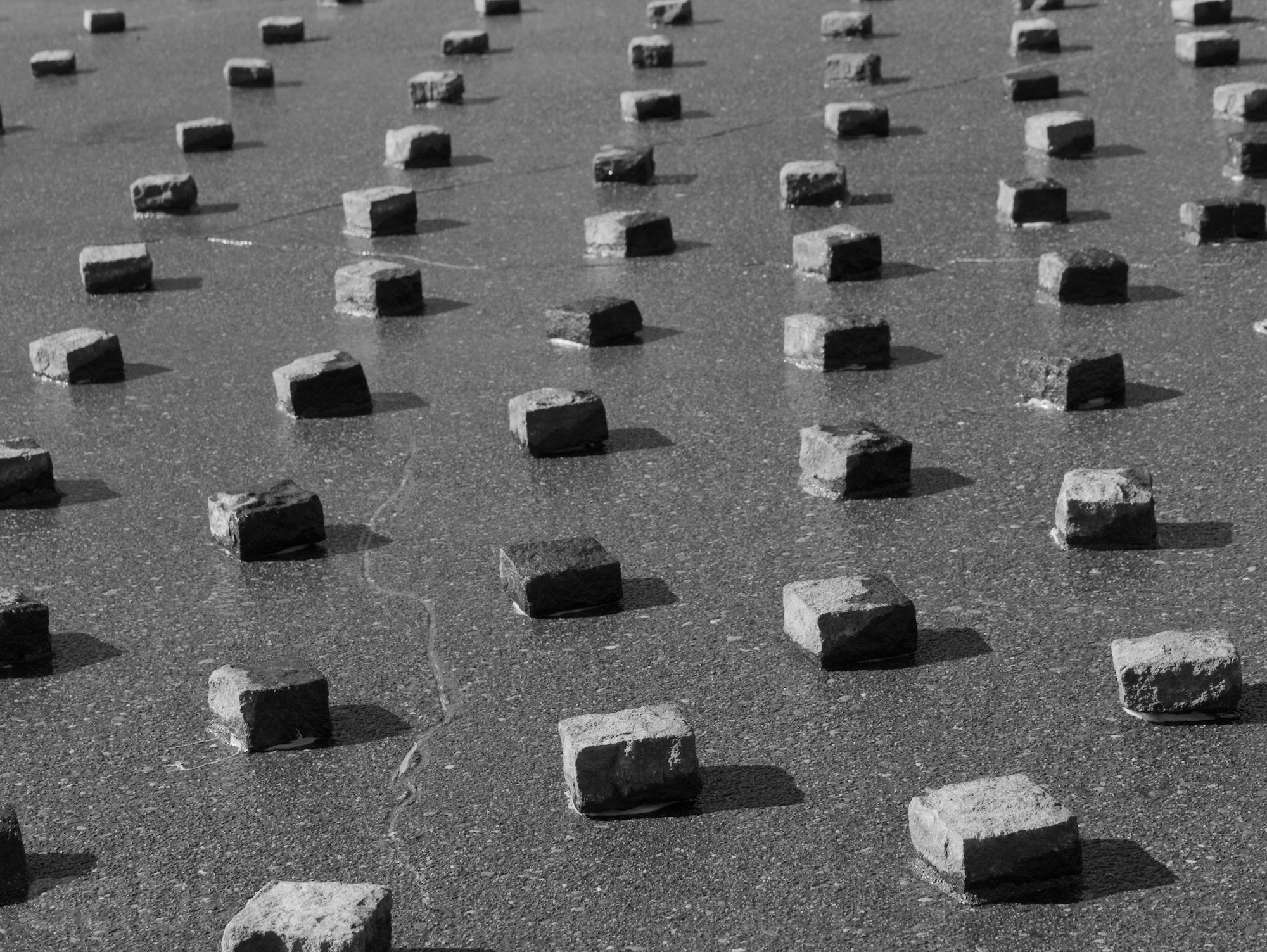 a monochrome photo of concrete square blocks arranged in a grid, affixed on top of concrete. the ones in the foreground at the bottom are in focus, and they go out of focus as you travel up the image