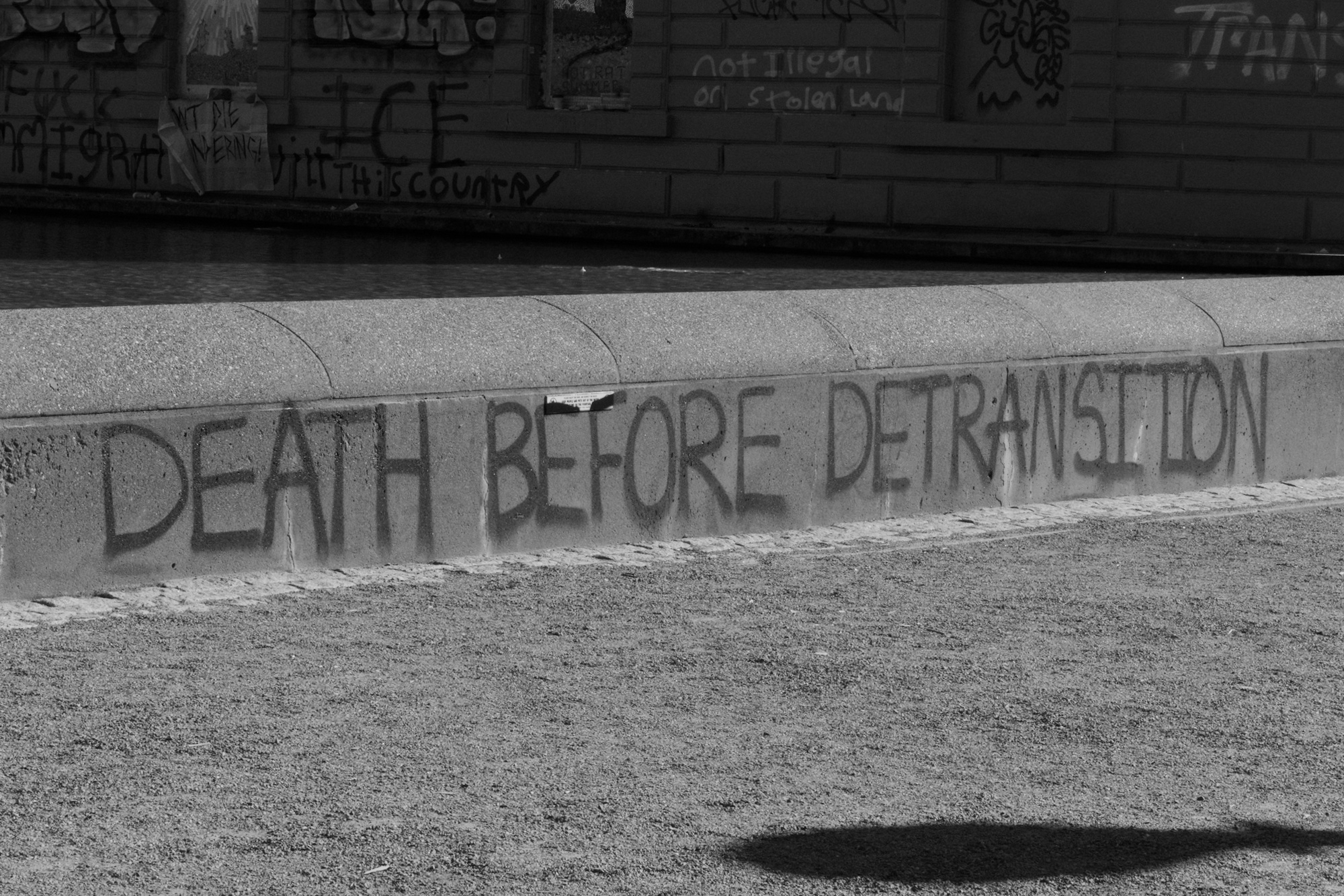 a monochrome photo of graffiti on the side of a water feature in a park. the graffiti reads "death before detransition"