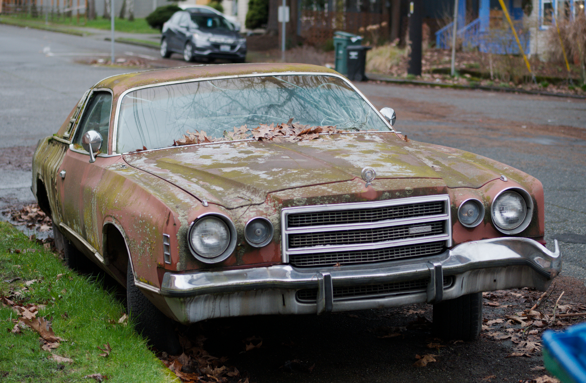 a photo of an old bronze and silver car, overtaken by rust and green moss